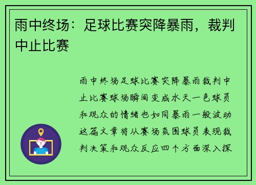 雨中终场：足球比赛突降暴雨，裁判中止比赛